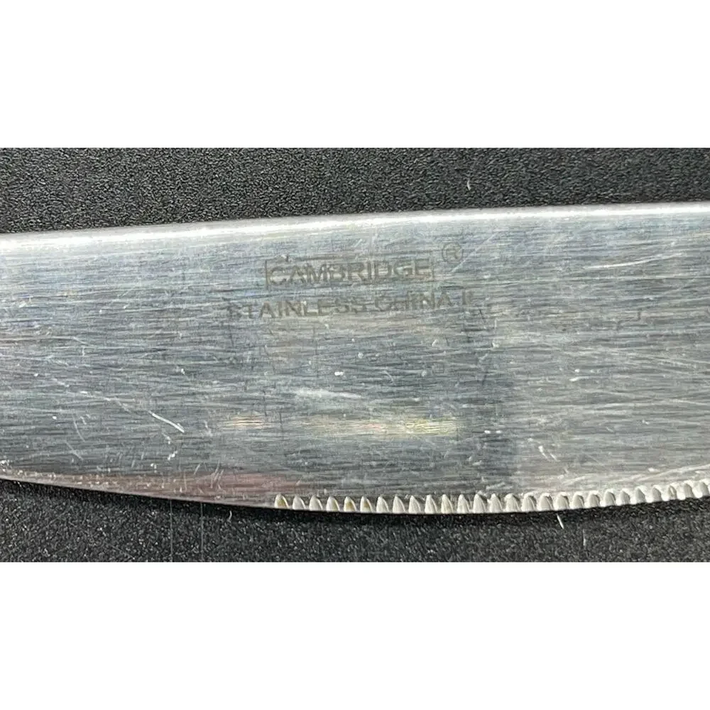 Cambridge Mena Sand Pattern Set of 7 Stainless Knives Flatware